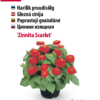 Zinnia elegans punaste õitega potitaim.